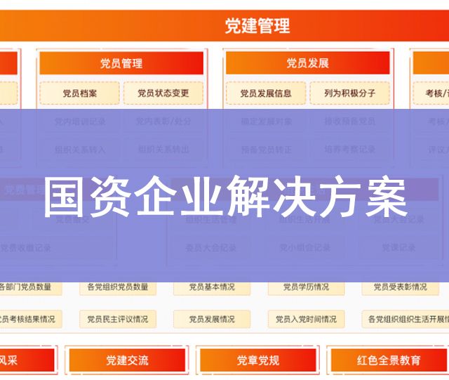 國(guó)資企業(yè)解決方案